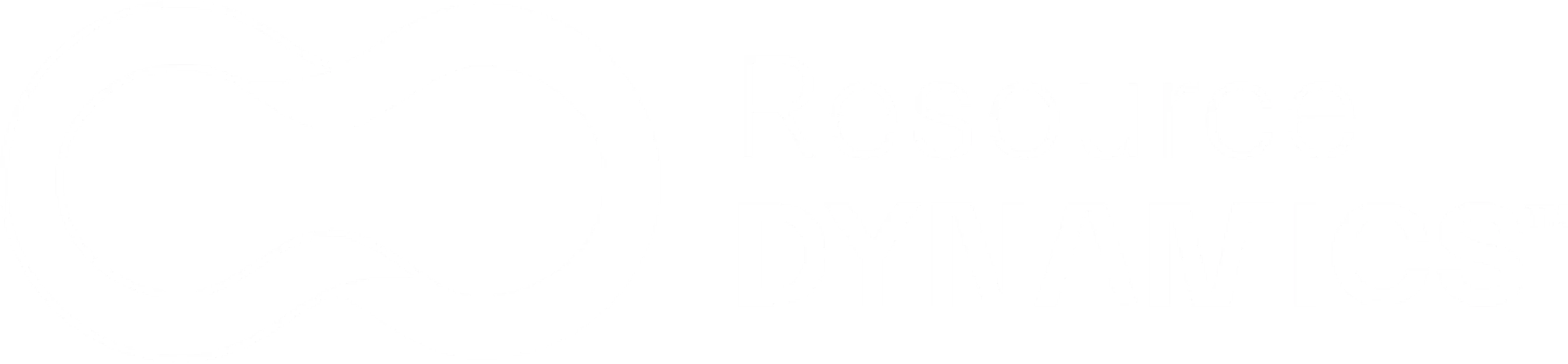 Resource Dynamics logo